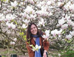 MariaAnna Antonovardaki likes Magnolias